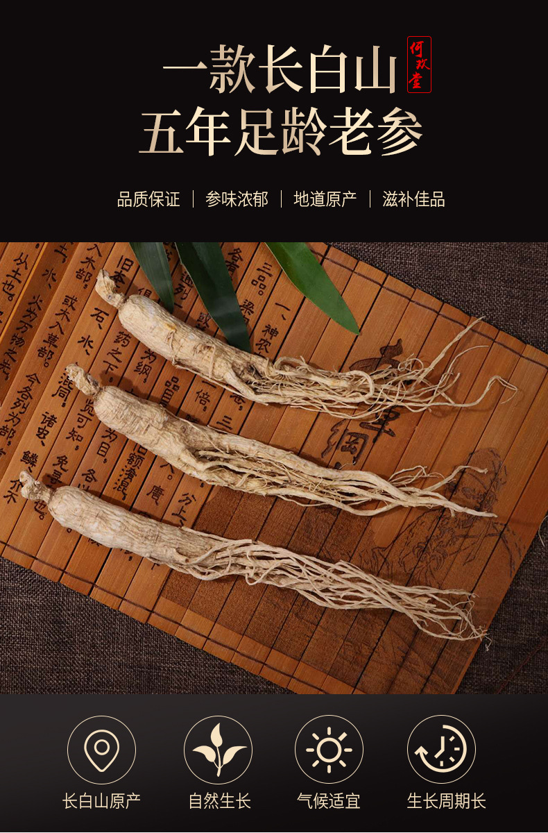 Whole Changbai Mountain Ginseng with Roots (Panax ginseng) — Sun-Dried White Ginseng for Soup, 500g Gift Box overview