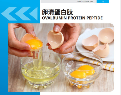 Manufactor Direct selling Protein peptide 85% Food grade Protein peptide Small peptides Albumin peptide