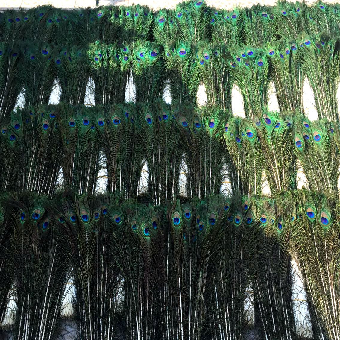 B7C54180FD69C863CDC3405D625CDD