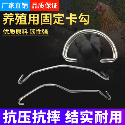 鸡用养殖食槽勾水线勾笼门勾水管固定勾料槽固定挂钩卡扣钢丝卡子