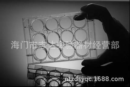 NEST 细胞培养板 6/12/24/48/96孔 平底 TC处理 独立包装 单个价