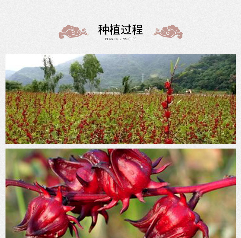 Dried Roselle Hibiscus Tea Luo Shen Hua Loose Flower Herbal Infusion 500g Yunnan preparation