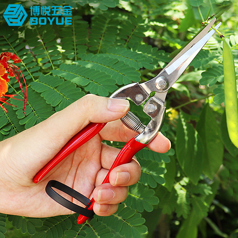 摘果剪稀果剪葡萄瓜果蔬菜剪不锈钢直头园艺理枝 去芽剪刀修枝剪