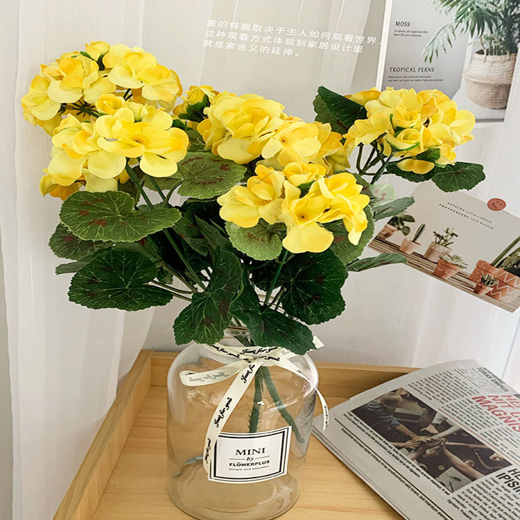 IMG_2128(20200527-093306)_wps图