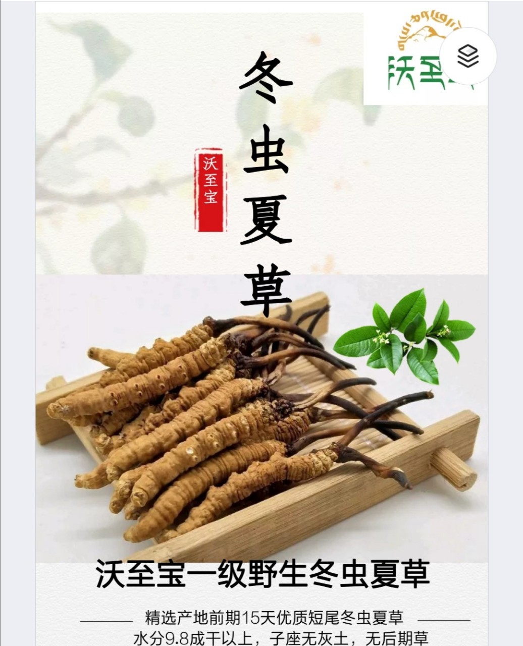 沃至宝一级冬虫夏草 野生冬虫夏草，高海拔冬虫夏草|ms