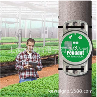 Onset HOBO MX2202 蓝牙温度数据记录器