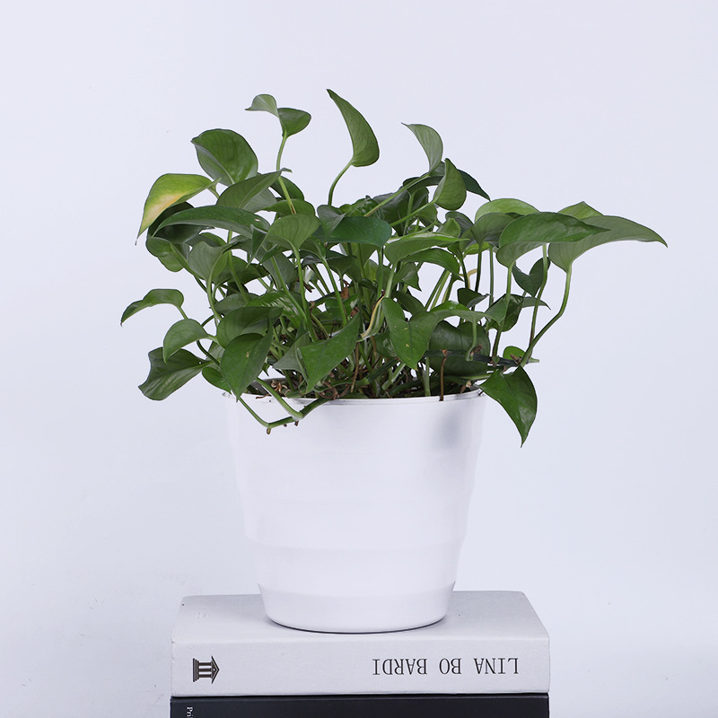 The coarse-textured Y02 series 10-sized faux porcelain plastic flowerpot is made of melamine material, with a solid color scheme and simple design detail image 4
