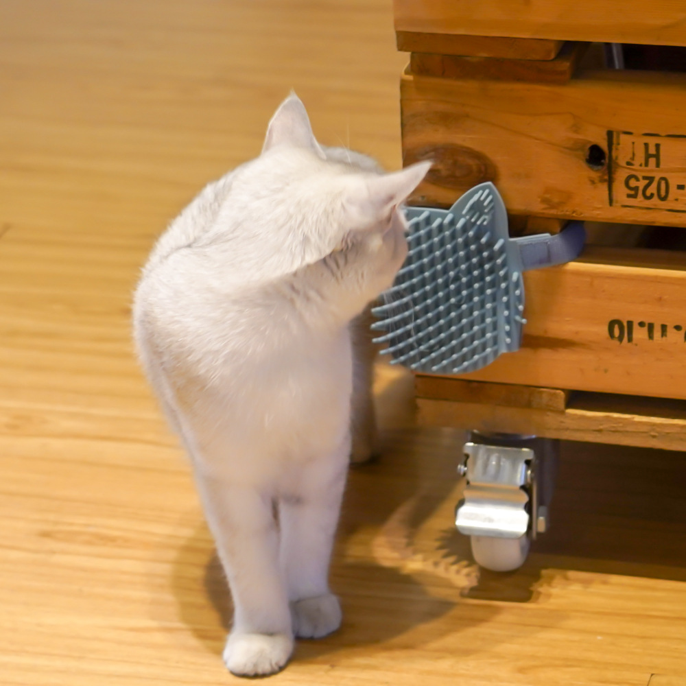 猫咪硅胶蹭痒板 (25).jpg
