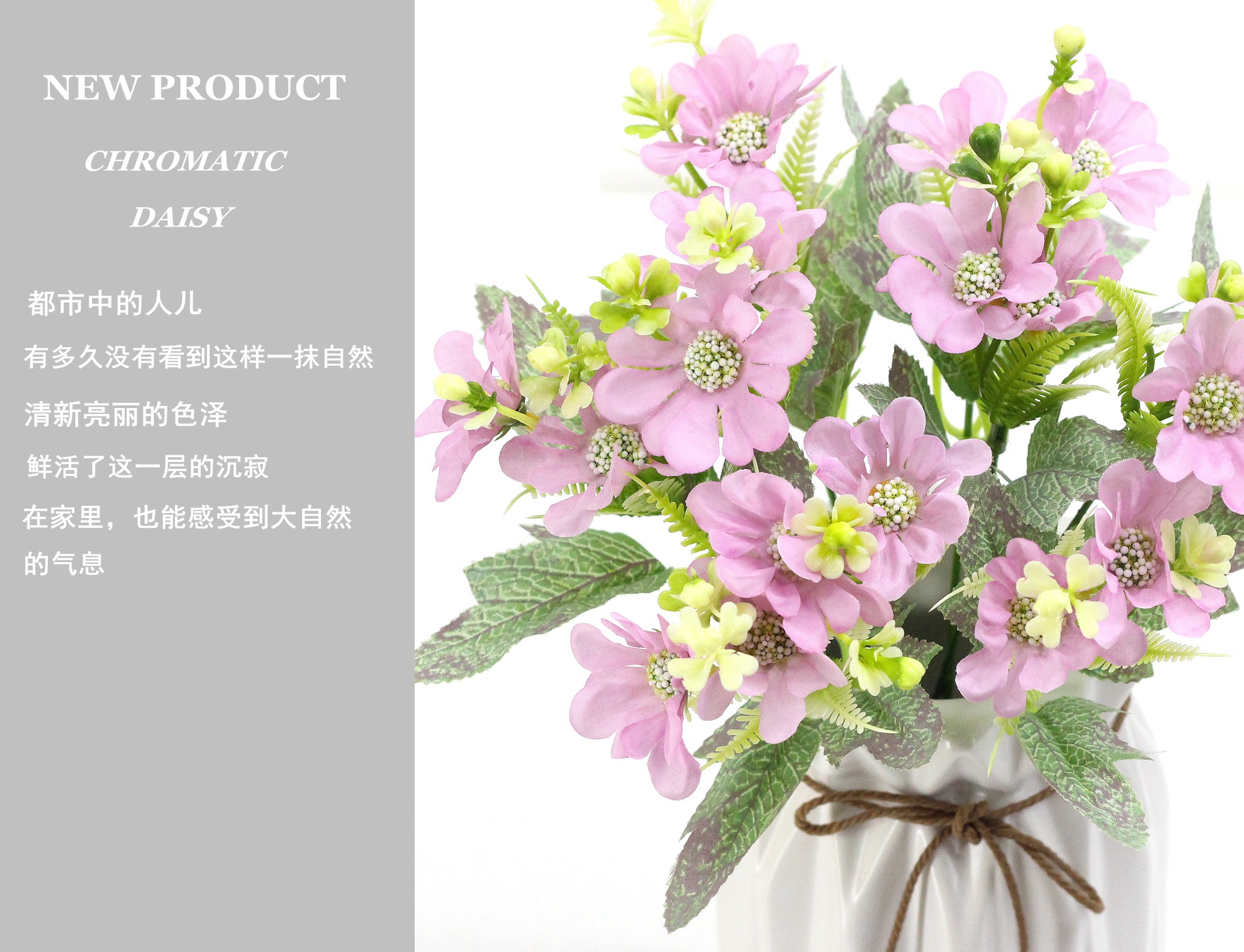 IMG_7619_副本_副本