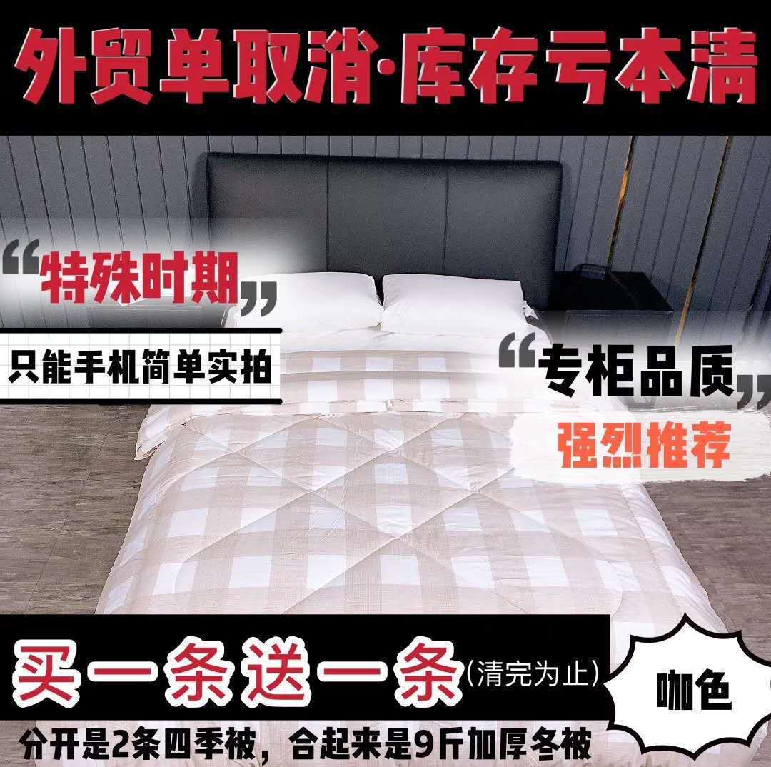 wechat Business Unstamped style Ichiban Two-in-one Picture Silk quilt Spring and autumn quilt Group buying