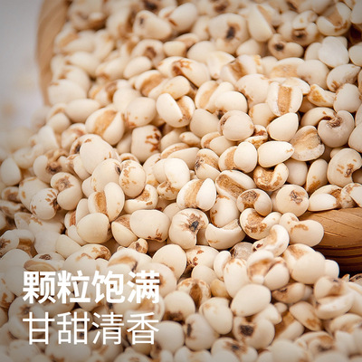 新鲜东北有机薏仁米薏米700克 五谷杂粮粗粮红豆薏仁水薏苡仁|ru