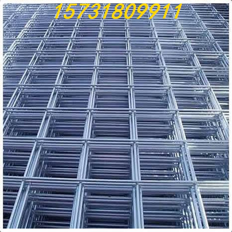 厂家批发镀锌钢丝不锈钢网片 超市货架网 苗床网 墙体抹灰网片