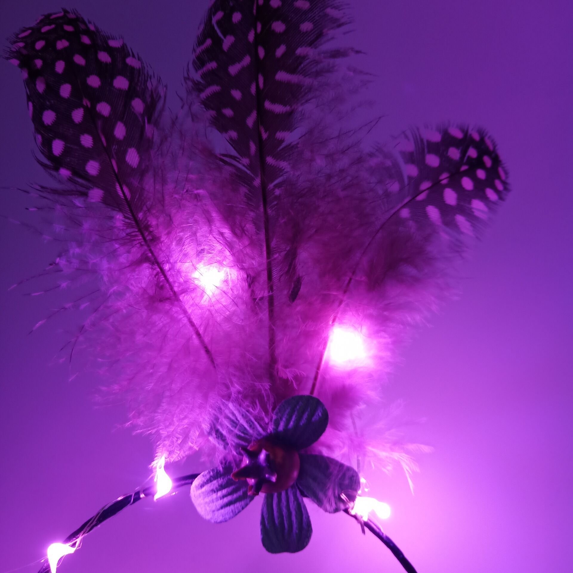 QQ图片20200502163746