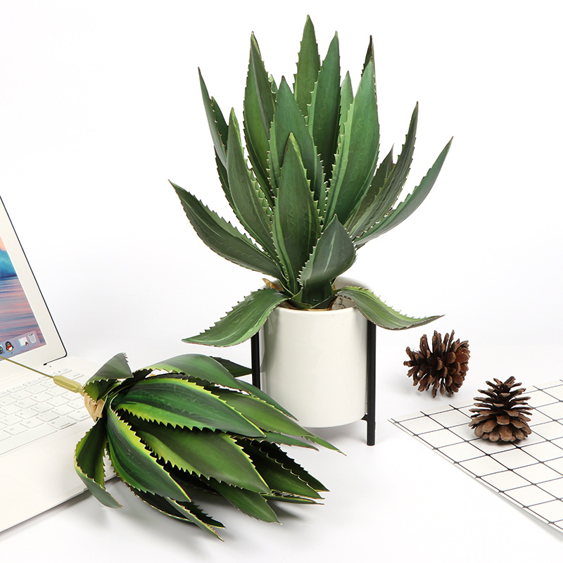 Living room bedroom simulation sword aloe vera potted photography…