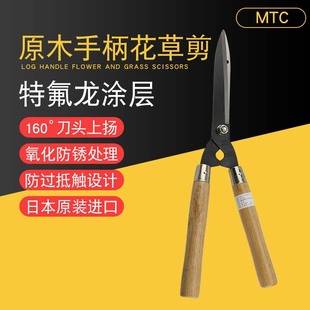 �ձ�MTC�@ˇ����ݼ���֦��20��@�ּ���ƺ���G�y�����G����