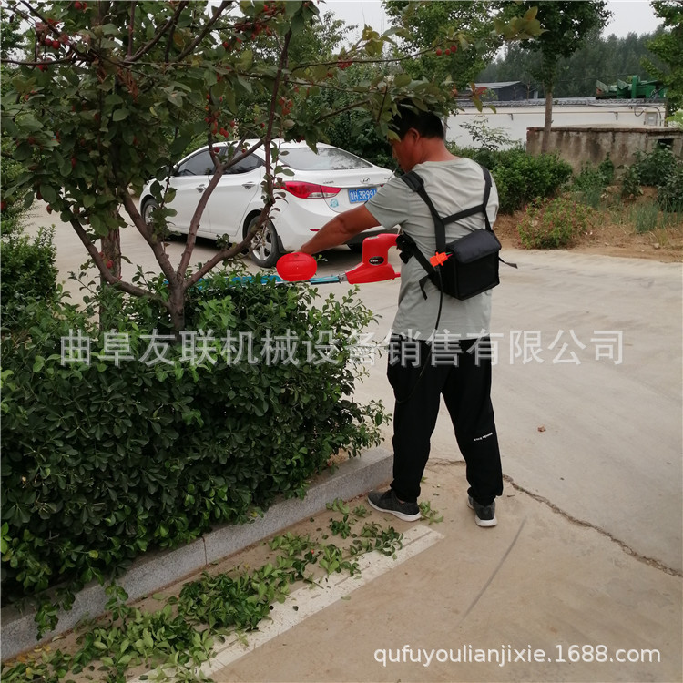 景观园艺修剪造型机 汽油茶树修剪绿篱机 修剪专用绿篱修剪机 63