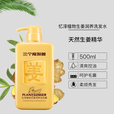 Oil control fluffy ginger shampoo Dandruff relieve itching Hair care Manufactor Direct selling machining