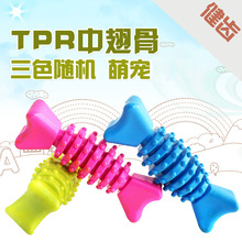 TPR狗狗玩具 骨头玩具 泰迪比熊磨牙洁齿玩具 宠物玩具6