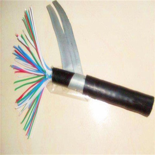 铠装屏蔽交联控制电缆KVVP2-22/2*4/2*6/4*4/4*6mm2