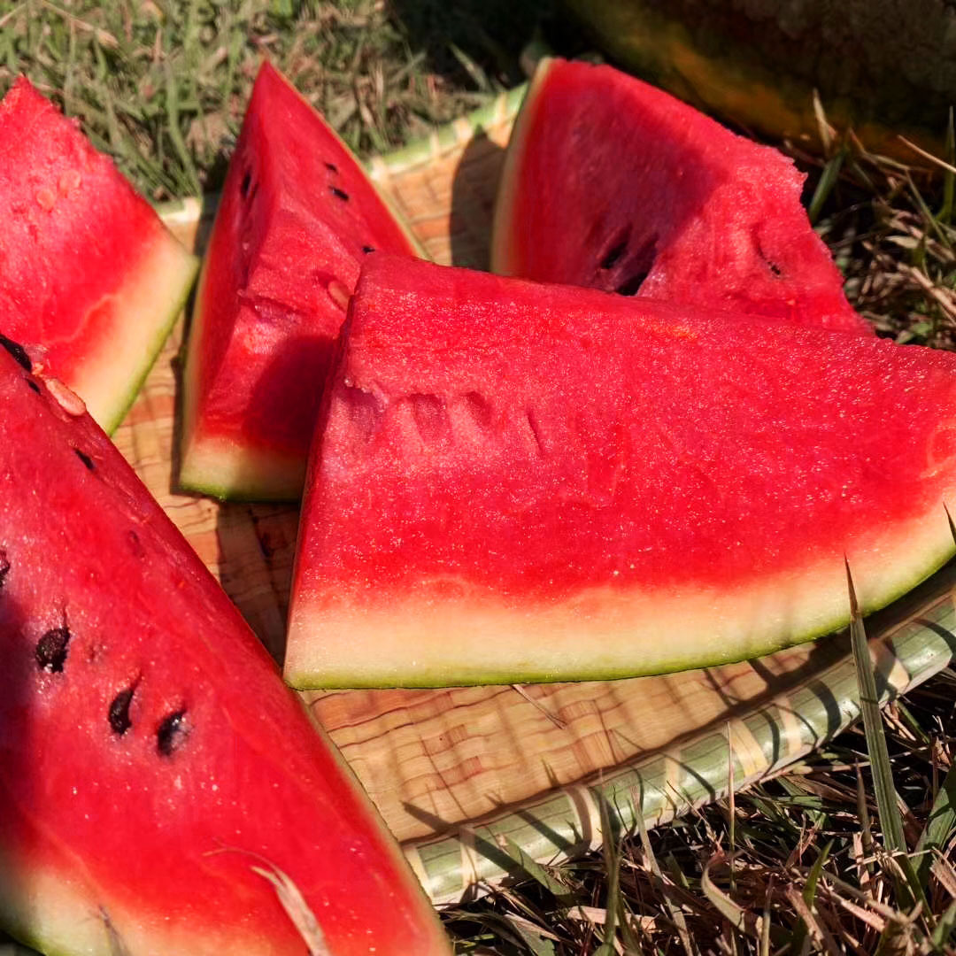 越南黑美人西瓜4-10斤当季水果薄皮黑籽熟甜沙瓤西瓜批发一件代发|ms