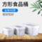 大量供應廠家直供白色方形塑料桶2L 3L 5L食品包裝桶帶蓋價格實惠
