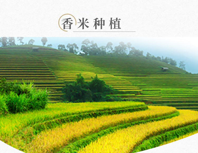 茉莉香米详情页_03