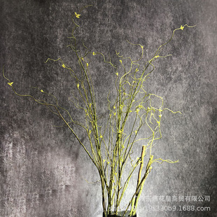 雲龍柳圖片 海量高清雲龍柳圖片大全 阿里巴巴