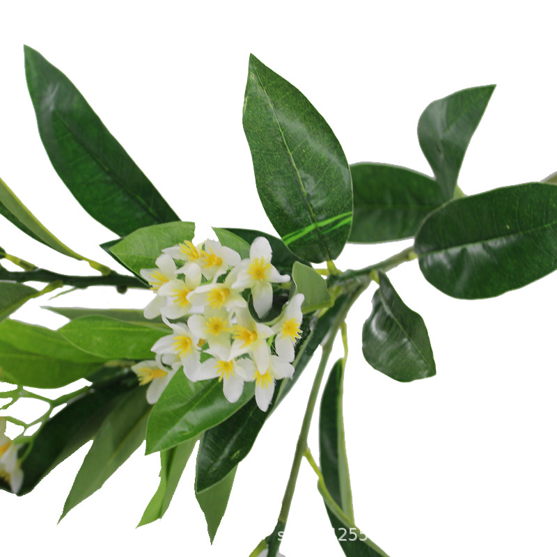 XRB-167 新桂花五叉枝立体10.jpg