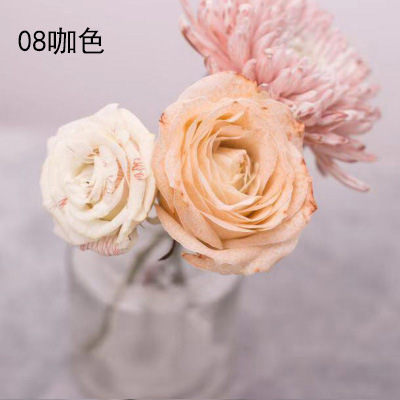 Color de la flor que absorbe el colorante solución de la cultura del ramo del tinte agente colorante floral Flower shop material 250ml ventas directas de la fábrica