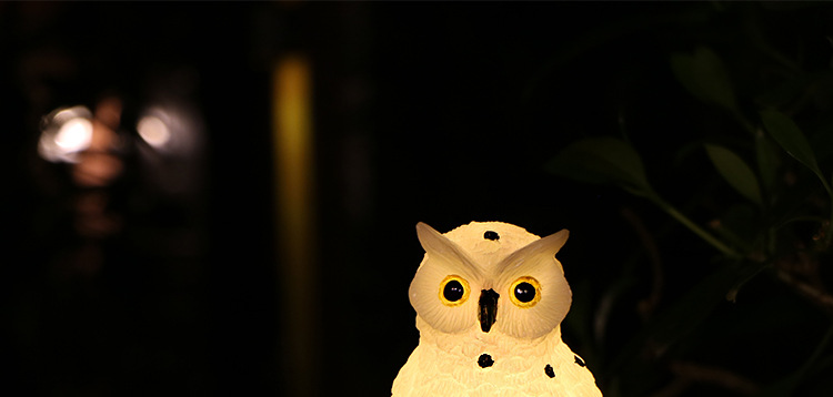 猫头鹰3_07.jpg