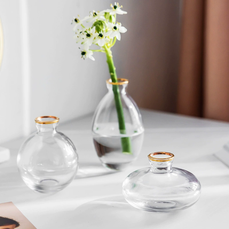 Простая креативная стеклянная ваза с маленьким ртом, одиночная вода, цветок, мини-Пномпень, костюм, обеденный стол, украшение дома