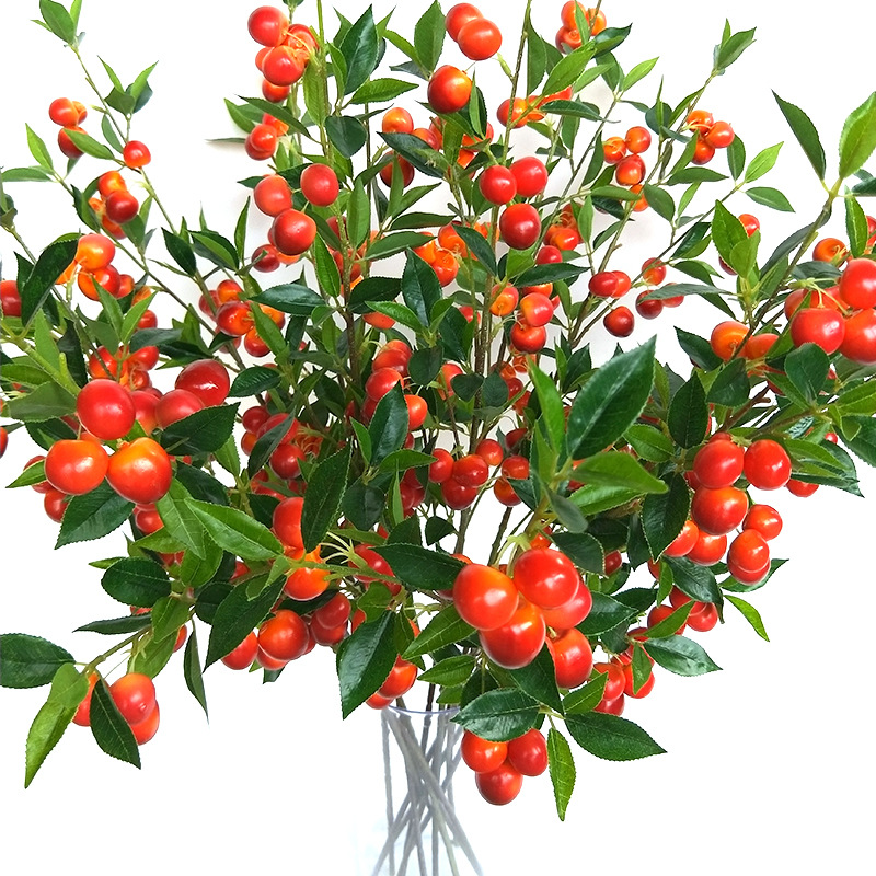 XRG-023 大樱桃1米 (6).jpg