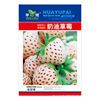 Cream strawberry, cute fruit eating bib, wholesale