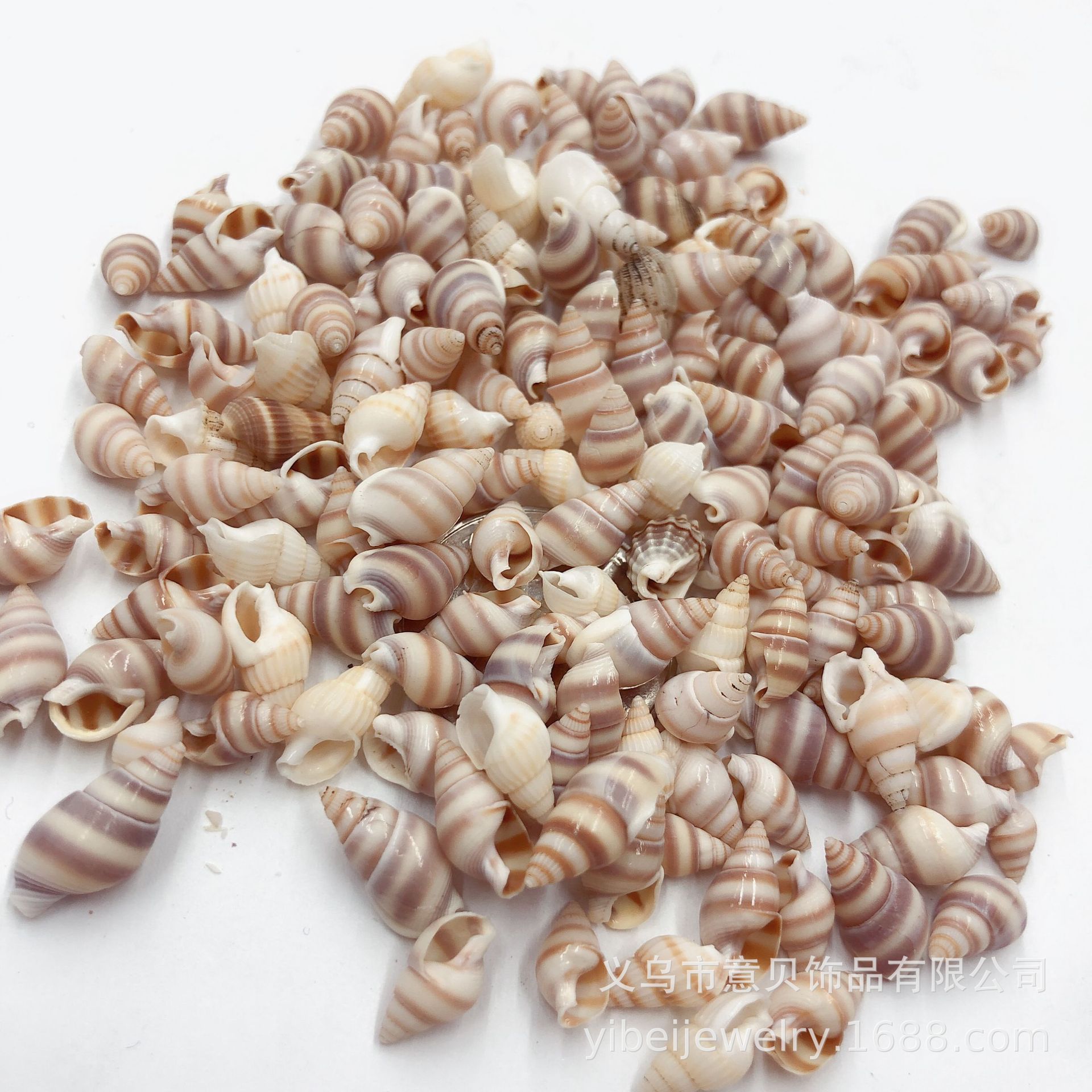 39E2D781522B74770B61A7D6B34D45