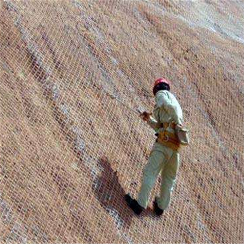 成都喷播植草 边坡复绿客土喷播边坡绿化铁丝网 边坡植草喷浆