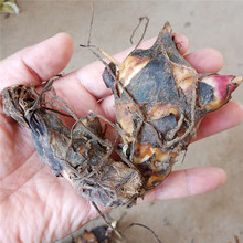 �������u�������˽� ���˽��N�� ���˽��r��