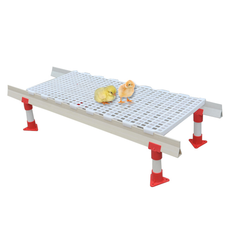 塑料漏粪地板 育雏用漏粪网床 平养系统配件