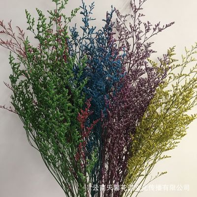 永生情人草幹花花束批發 家居軟裝裝飾創意插花情人草永生花花材
