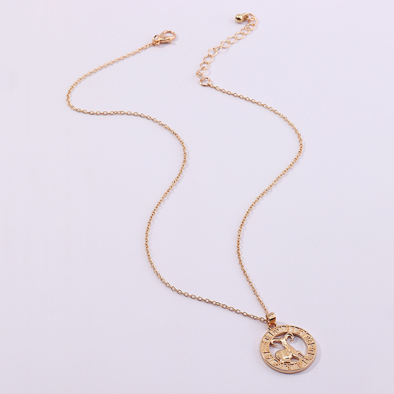 Fashion Twelve Constellation Necklace For Men And Women Symbol Gift Clavicle Chain display picture 7