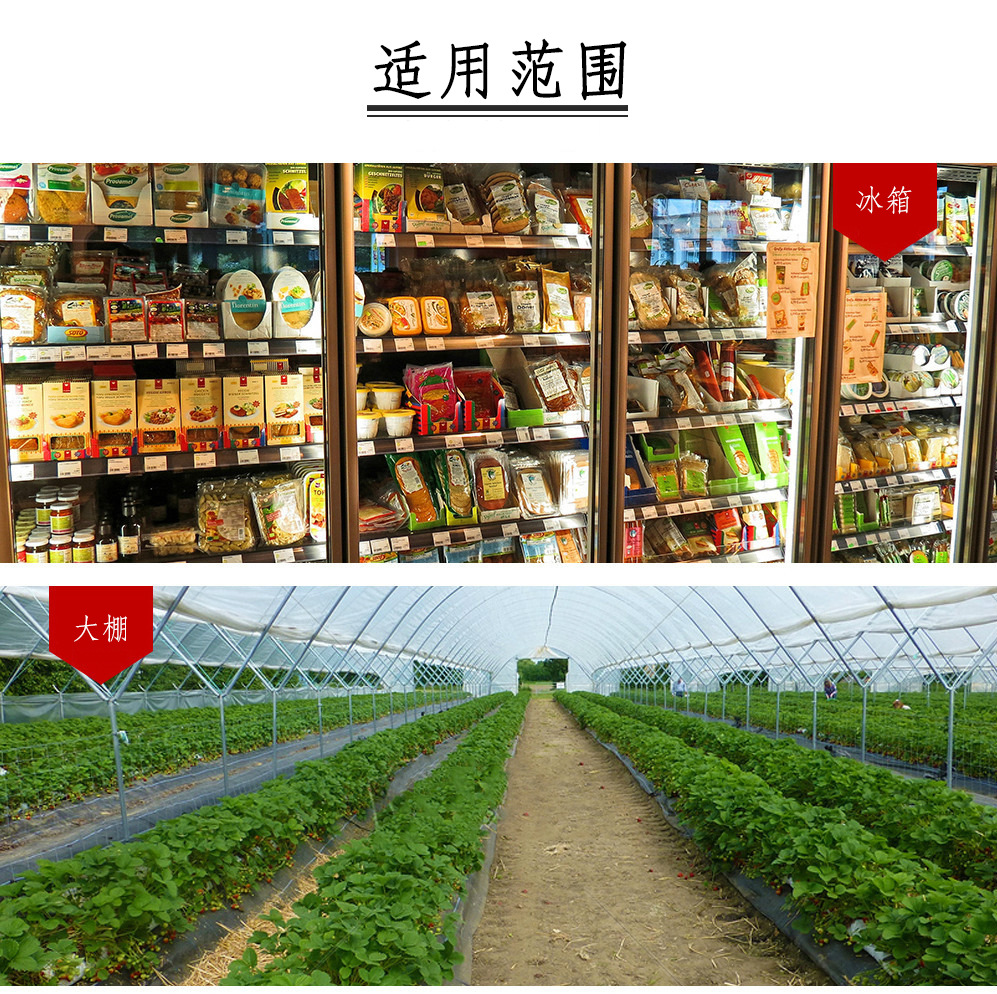 4241659482_1741934697