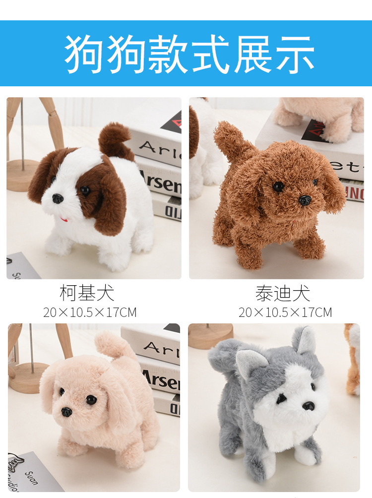 泰迪金毛哈士奇柯基小狗详情页_05