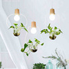 Plant lamp for living room, Scandinavian creative modern and minimalistic bar lights, ceiling lamp