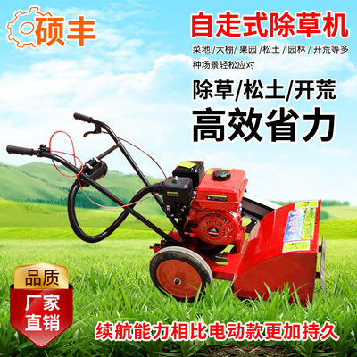 果园汽油款小型除草机 手扶续航型除草机 170F汽油款防缠绕除草机