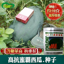 ۰ԴϷN rˈ@sEAϷN ˮϹN