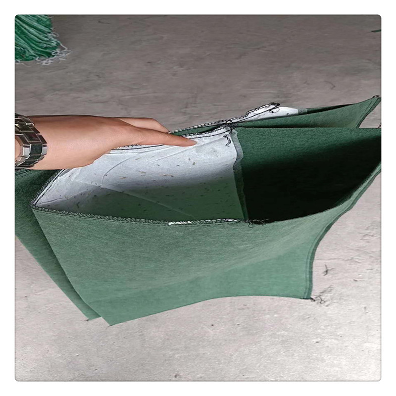 mmexport1558432064441_副本1