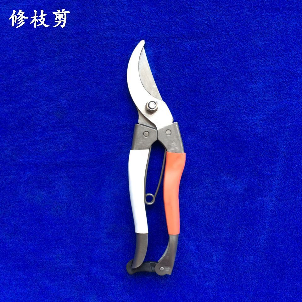 墨牛修枝剪果枝剪树剪果树剪果剪花剪园艺剪刀花木剪粗枝剪