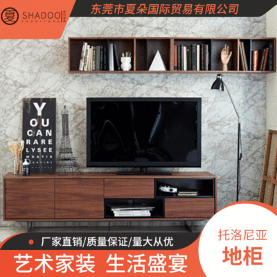 Modern minimalist TV cabinet suit bedroom modern Simplicity Small apartment a living room television drawer one