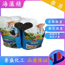 ø⺣Ƭ徫ʉѸa|徫