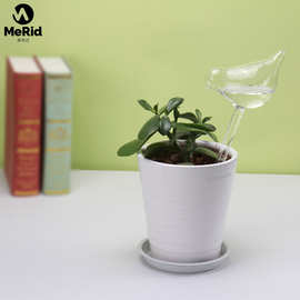 小鸟玻璃浇花器高硼硅浇花器玻璃浇花器滴水玻璃插土懒人浇水礼盒