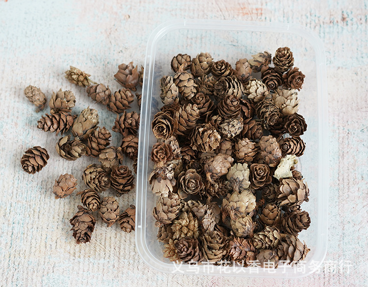 迷你小松果—义乌花以香